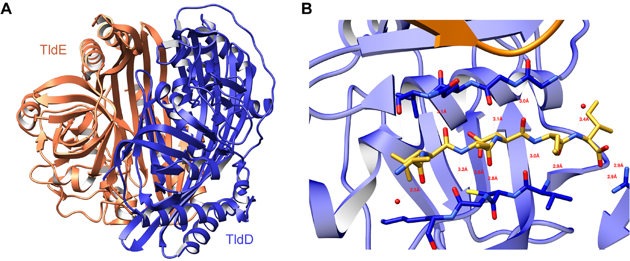 Fig. 77.