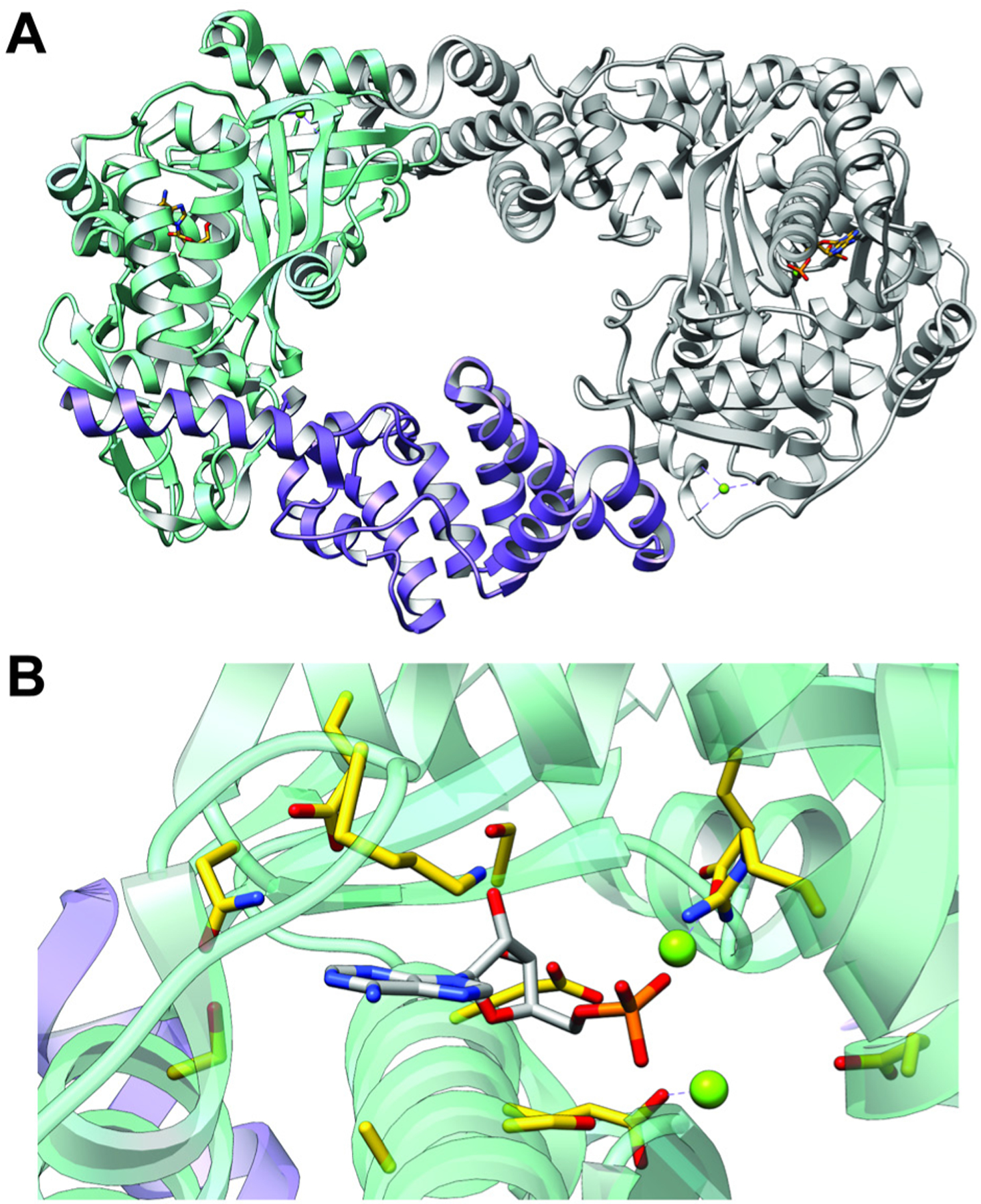 Fig. 31.
