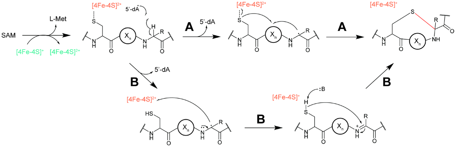 Fig. 40.