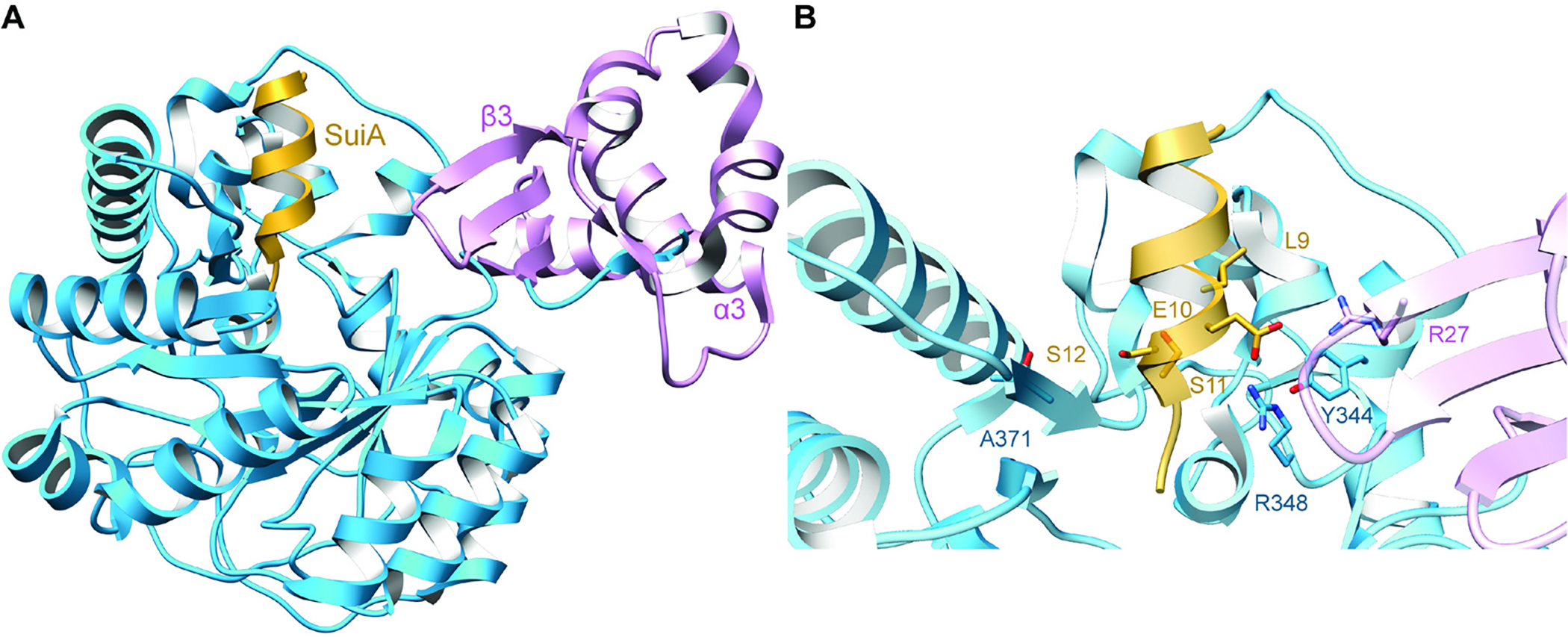 Fig. 70.