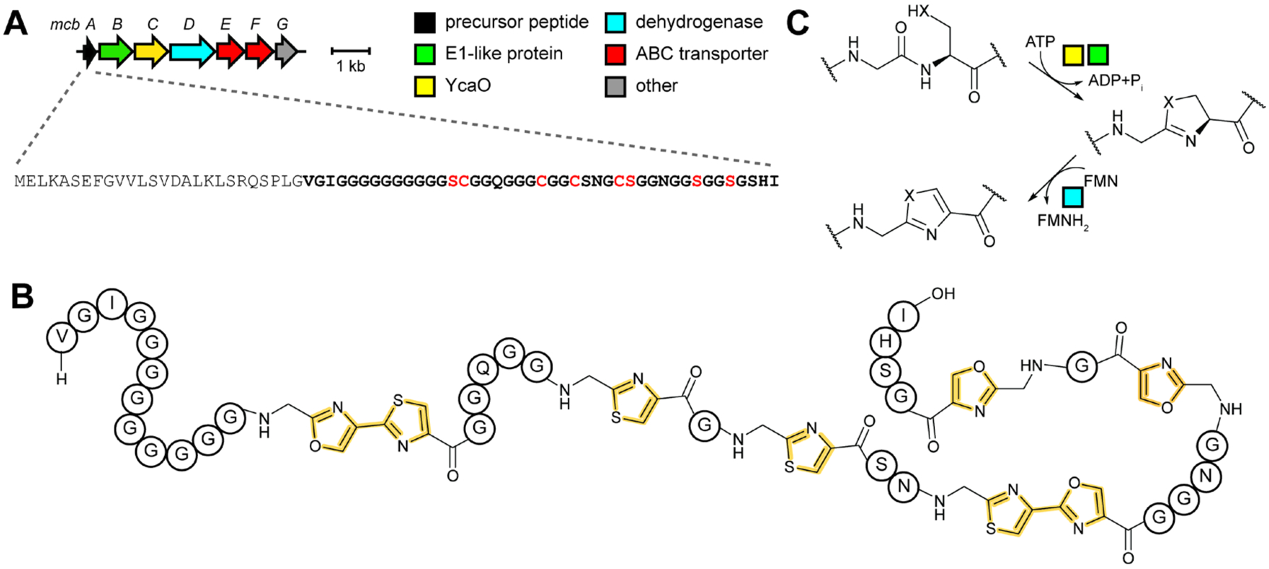 Fig. 28.