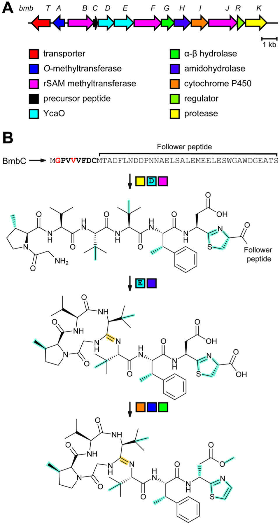 Fig. 37.