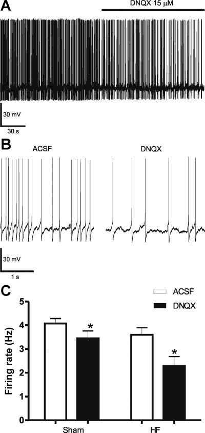 Fig. 10.