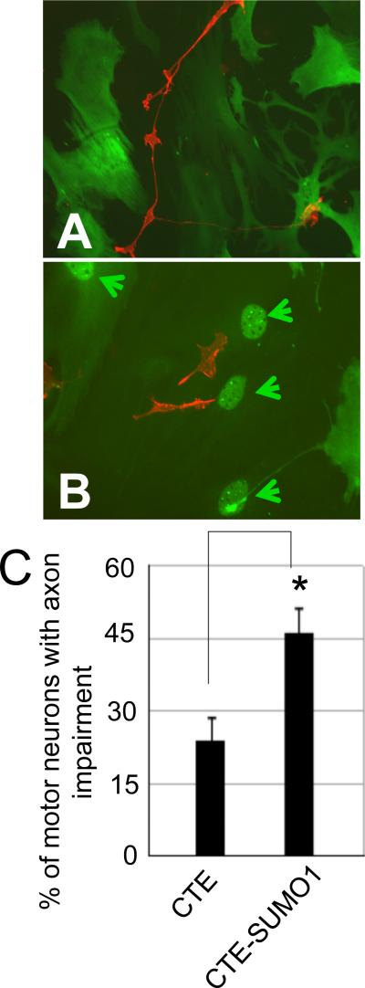 Fig.6