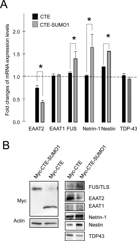 Fig.7