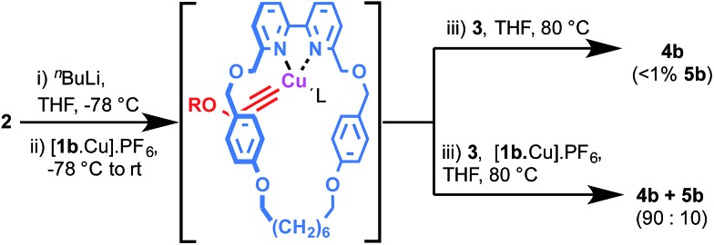 Scheme 4