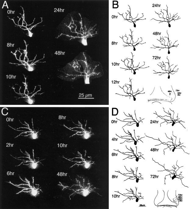 Fig. 7.