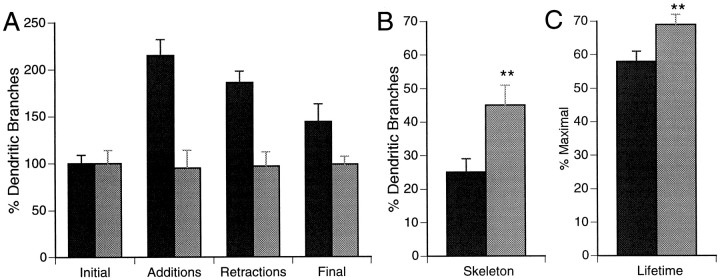 Fig. 10.