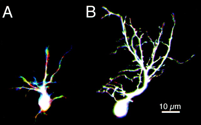 Fig. 11.