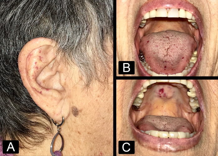 Figure 1: