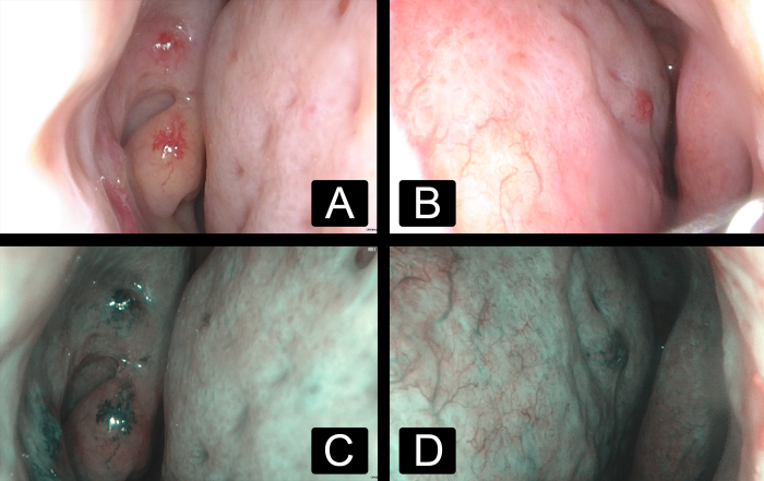 Figure 2: