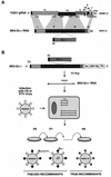 FIG. 6