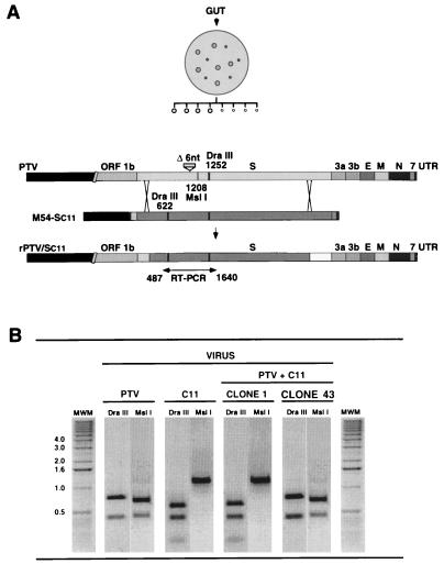 FIG. 8