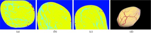 Fig. 7