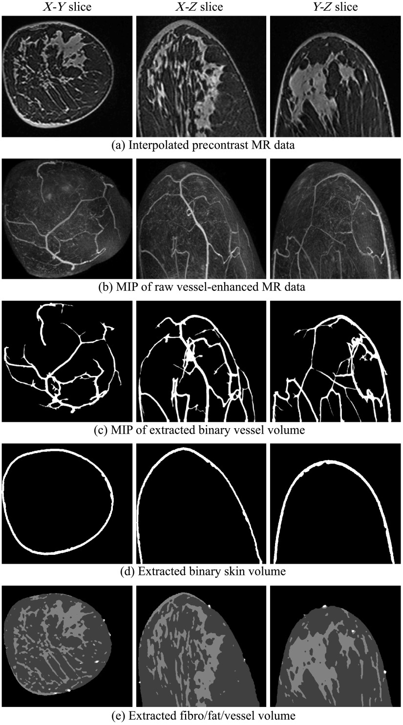 Fig. 5