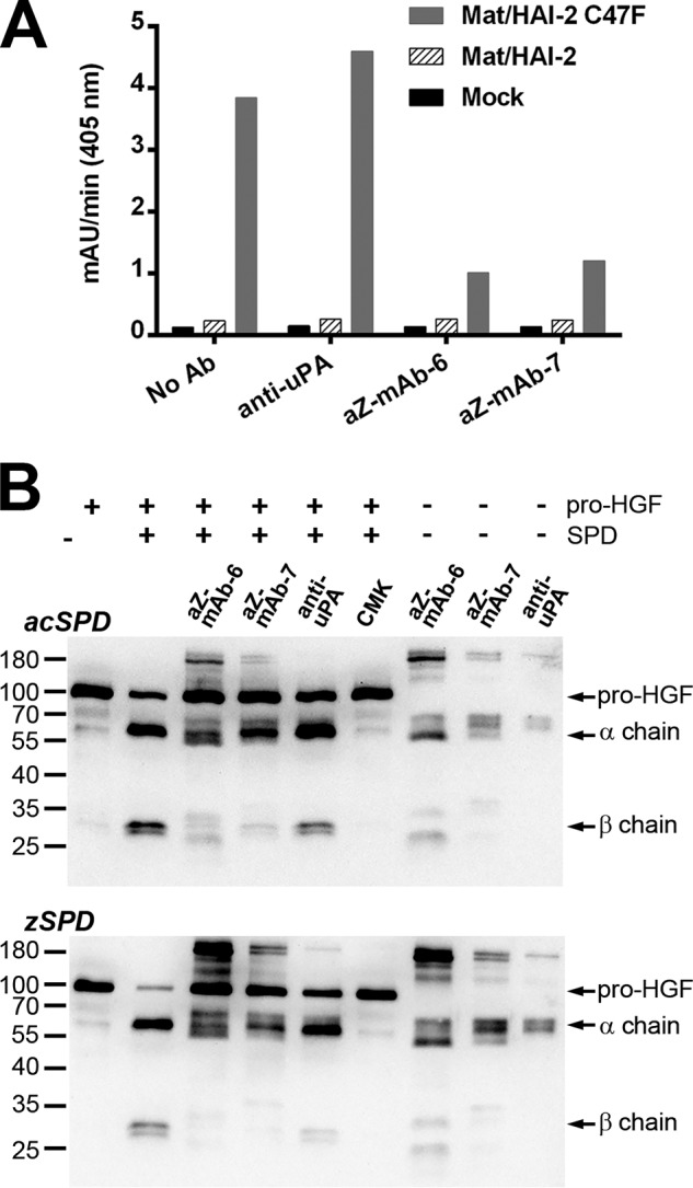 Figure 6.