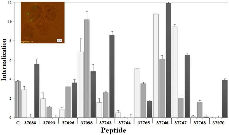 Figure 7