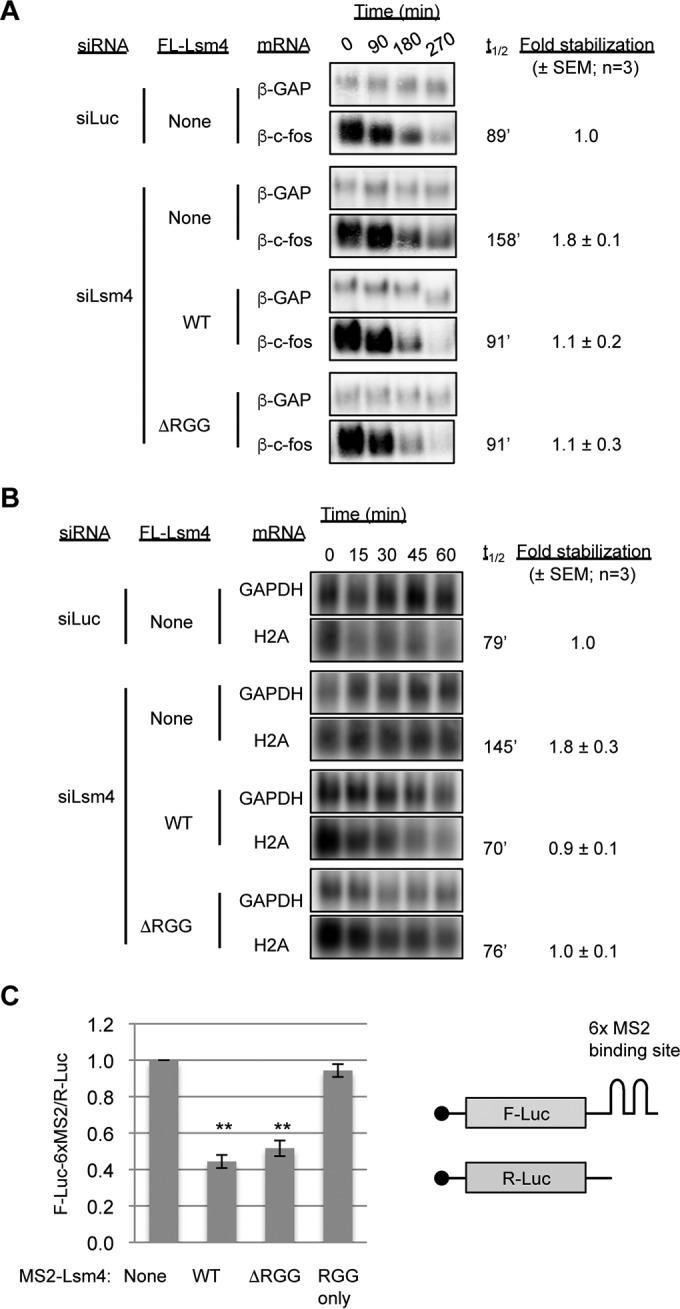 FIG 3