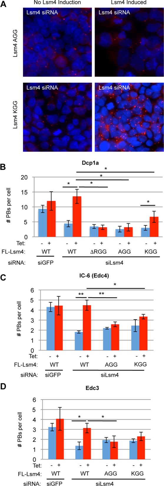 FIG 6