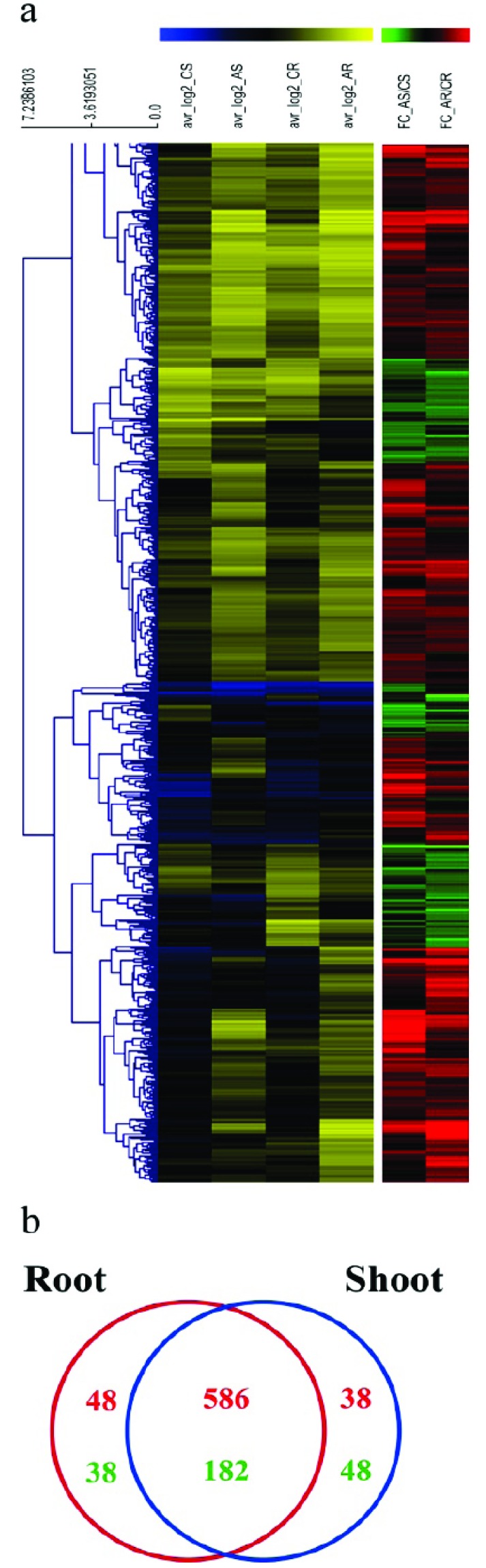 Fig. (1)