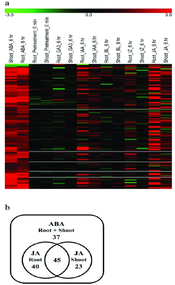 Fig. (3)