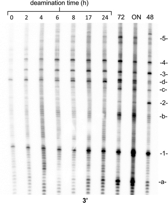 FIGURE 7.