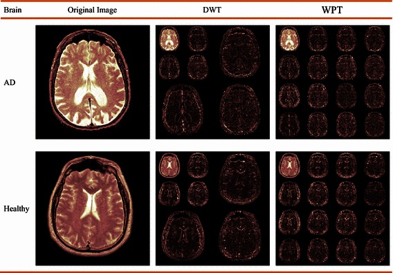 Fig. 4