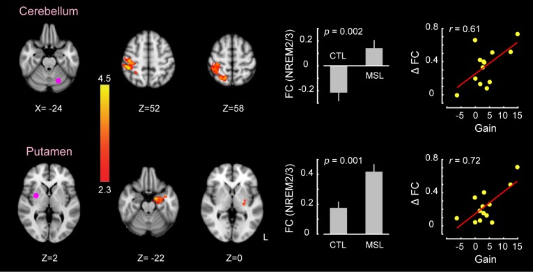 Figure 3—figure supplement 1.