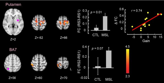 Figure 4—figure supplement 3.