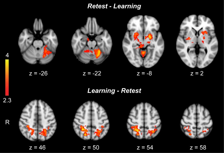 Figure 1—figure supplement 2.