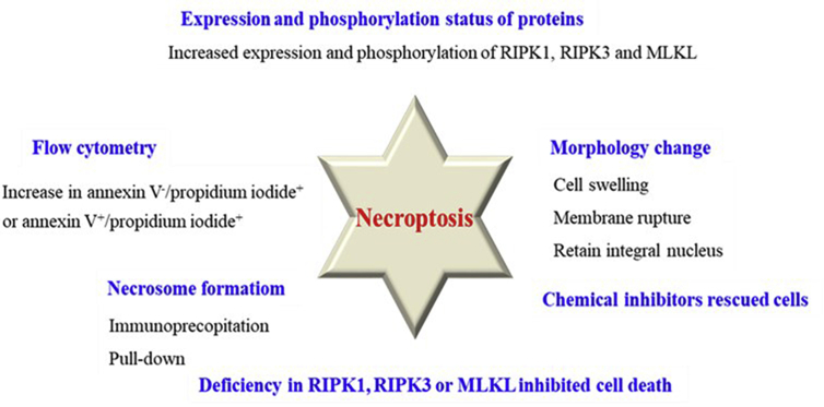 Figure 3