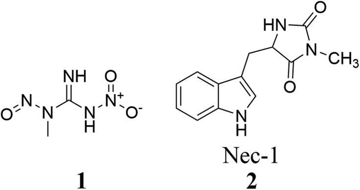 Figure 1