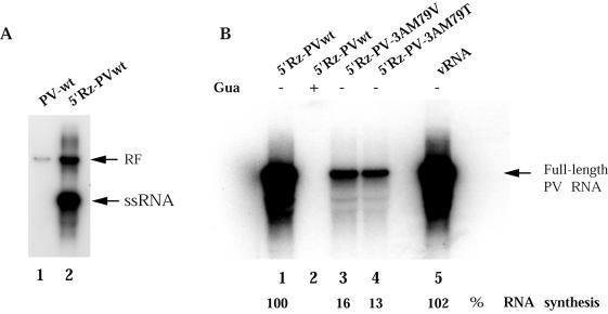 FIG. 8.