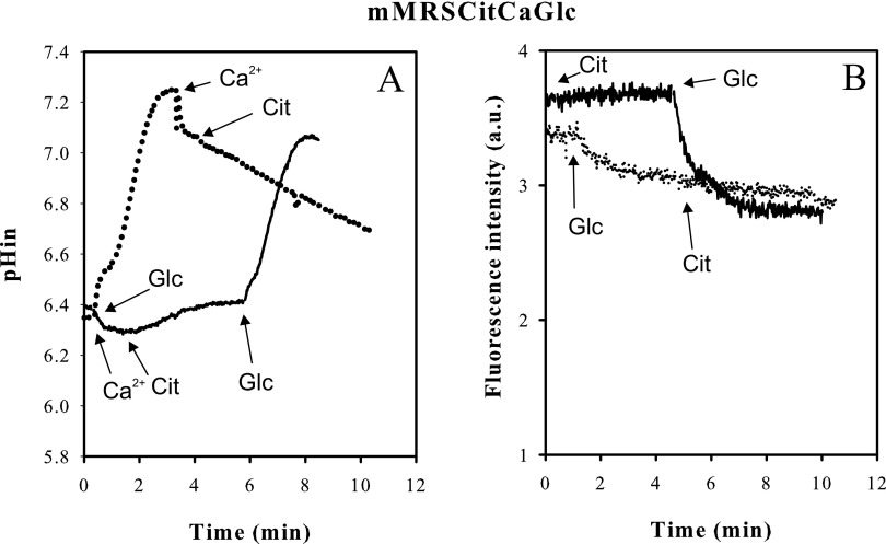 Fig 6