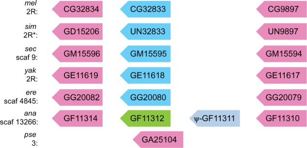 Fig. 1.