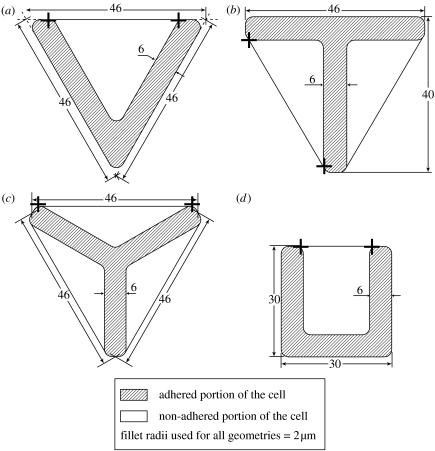 Figure 8