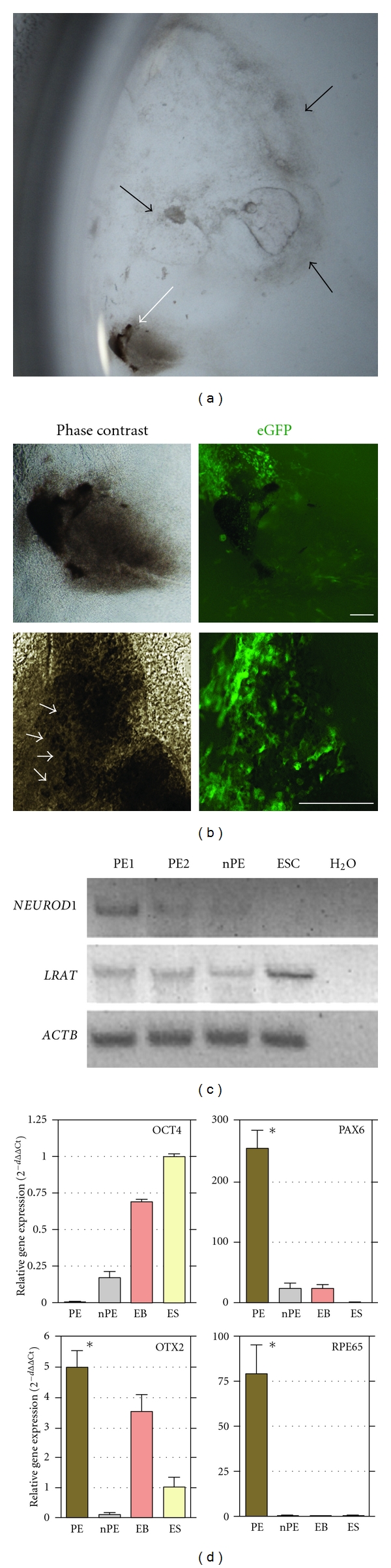 Figure 5