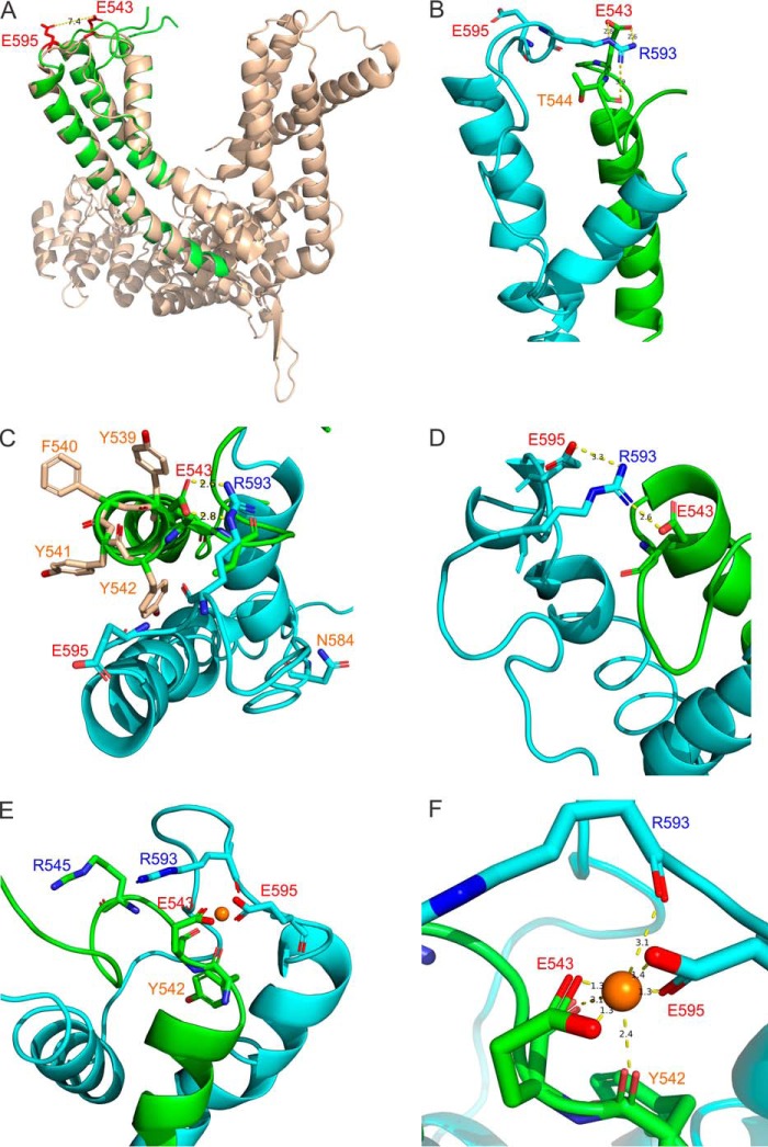 FIGURE 4.