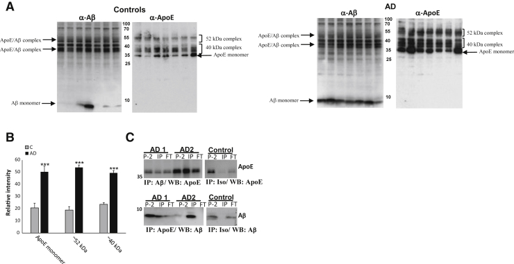 Figure 1