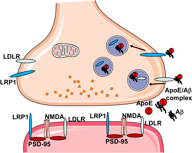 Figure 7