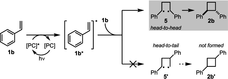 Scheme 5