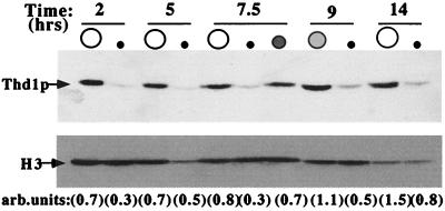 FIG. 8