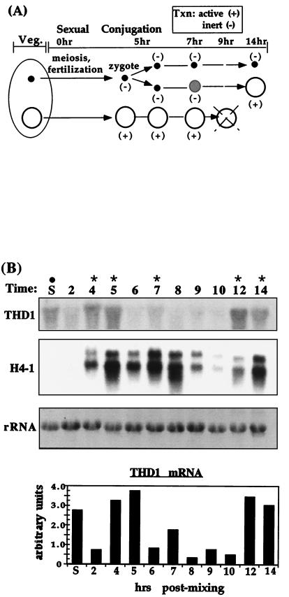 FIG. 7