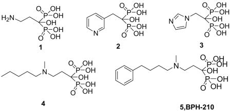 graphic file with name nihms72296u1.jpg