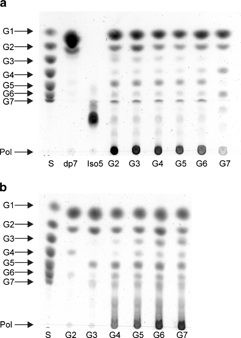 Fig. 5