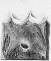 438-5
