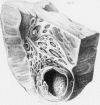 438-5