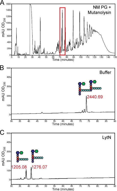 FIGURE 7.