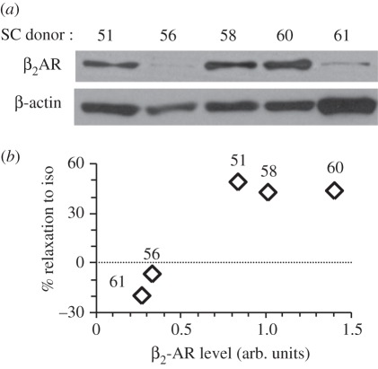 Figure 5.