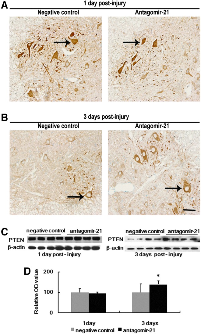 FIG. 8.